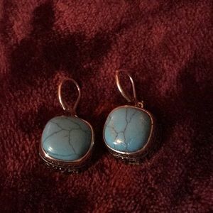 pair of earrings